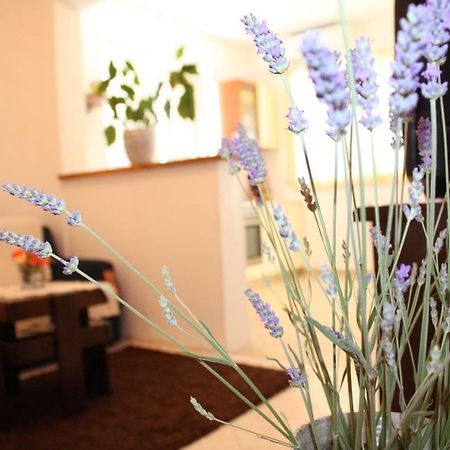 Apartment Anand Dubrovnik Luaran gambar